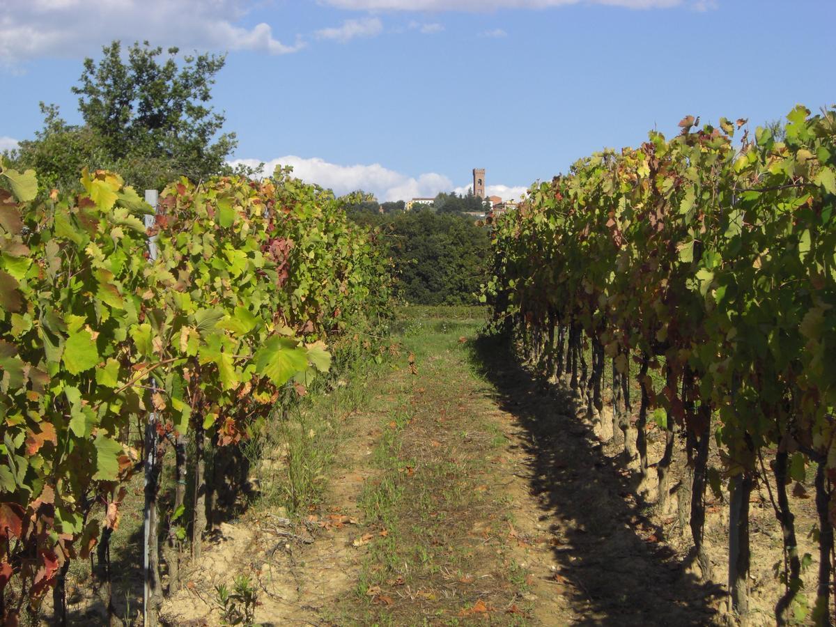Buonamico Wine Resort Montecarlo Dış mekan fotoğraf