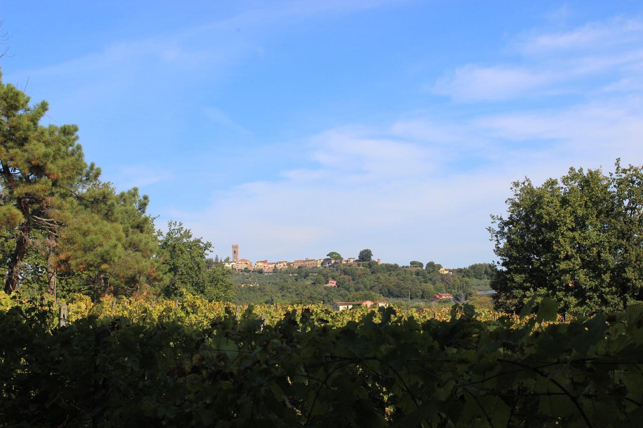 Buonamico Wine Resort Montecarlo Dış mekan fotoğraf